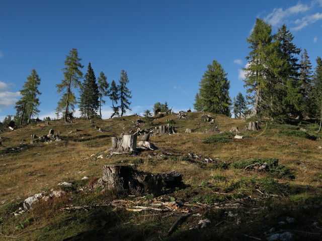 L&auml;rchkogel (3. Okt.)