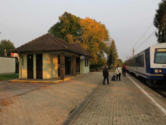 R 2185 in der Haltestelle Glaubendorf-Wetzdorf, 238 m