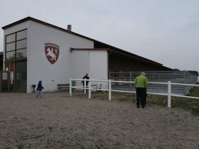 Spanische Hofreitschule Lipizzaner