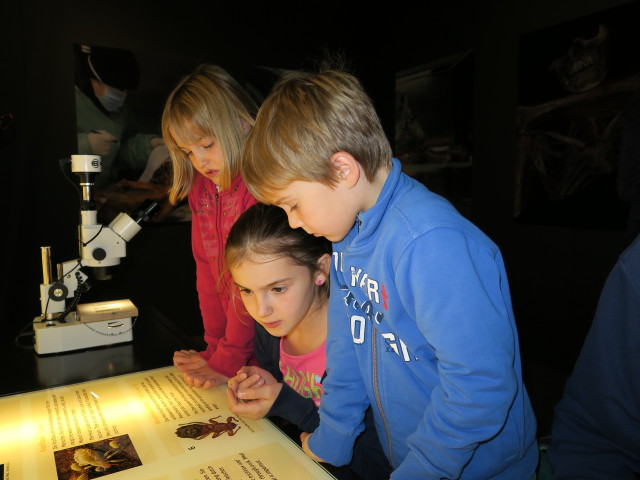 Katja Lin, Anja Liv und Tim im Museum Mistelbach