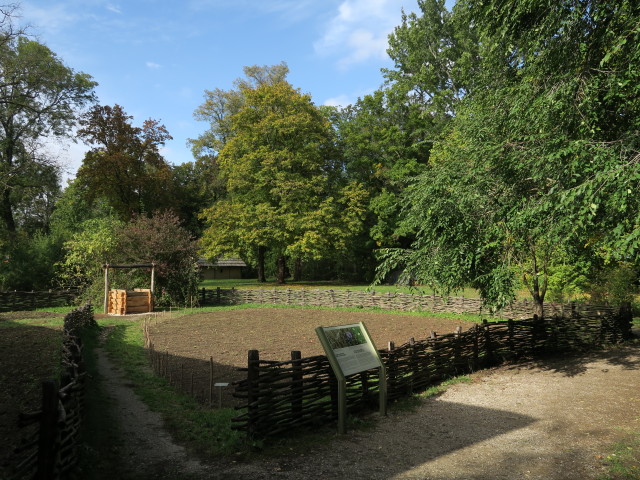 Archäologisches Freigelände beim Schloss Asparn an der Zaya