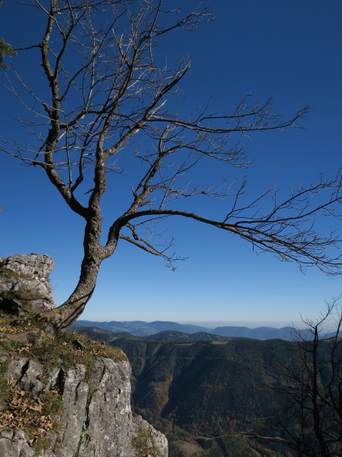 zwischen Roter Wand und Bucheben
