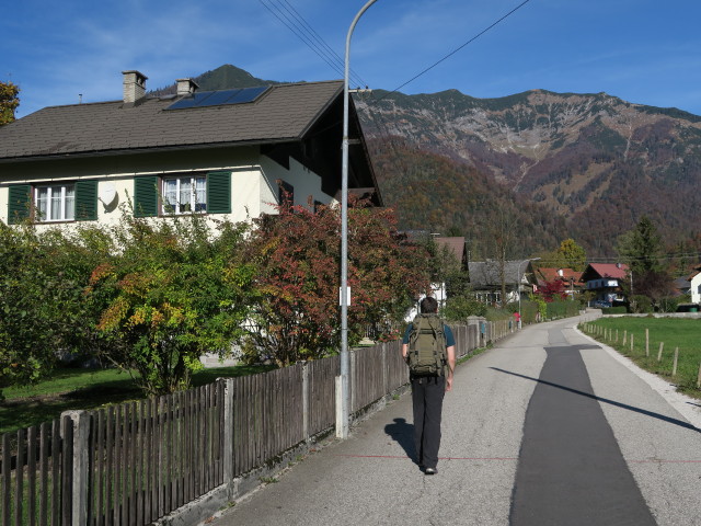 Ronald in Pfandl, 493 m