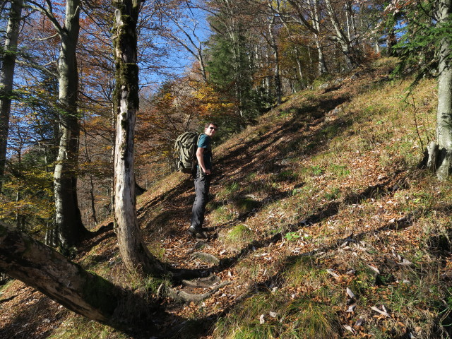 Ronald auf Weg 814 zwischen Pfandl und Walkerskogel