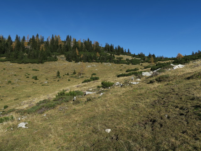 Weg 812 zwischen Leonsberg und Leonsbergalm