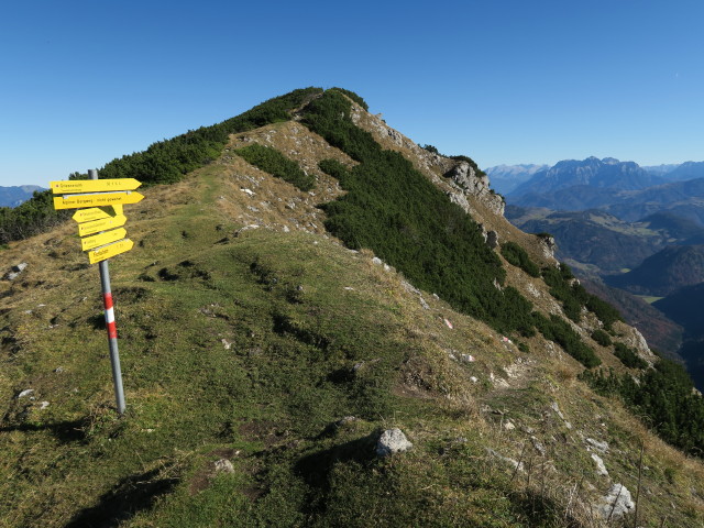 Weg 825 zwischen Feldberg und Tristecken (31. Okt.)