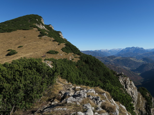 Weg 825 zwischen Feldberg und Tristecken (31. Okt.)