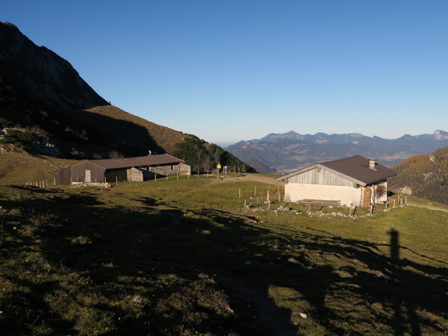 Hochalm, 1.403 m (31. Okt.)