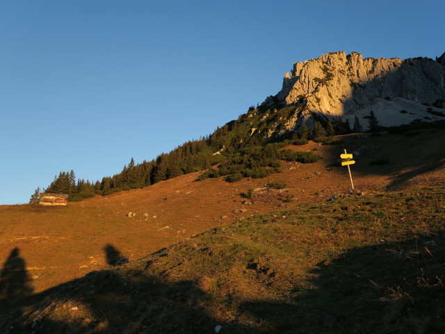 Hinterkaiserfeldenalm, 1.530 m (1. Nov.)