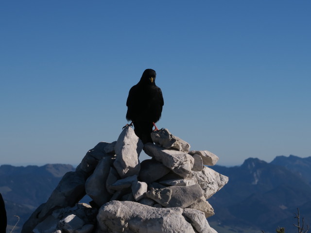 Vordere Kesselschneid, 2.001 m (1. Nov.)