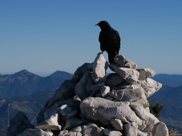 Vordere Kesselschneid, 2.001 m (1. Nov.)