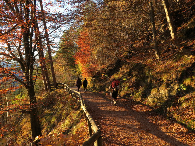 Erich auf Weg 801 zwischen Veitenhof und Kaiserstiege (1. Nov.)