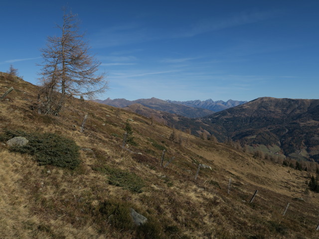 neben Weg 8 zwischen Burgstallberg und Oberer Krasserh&uuml;tte