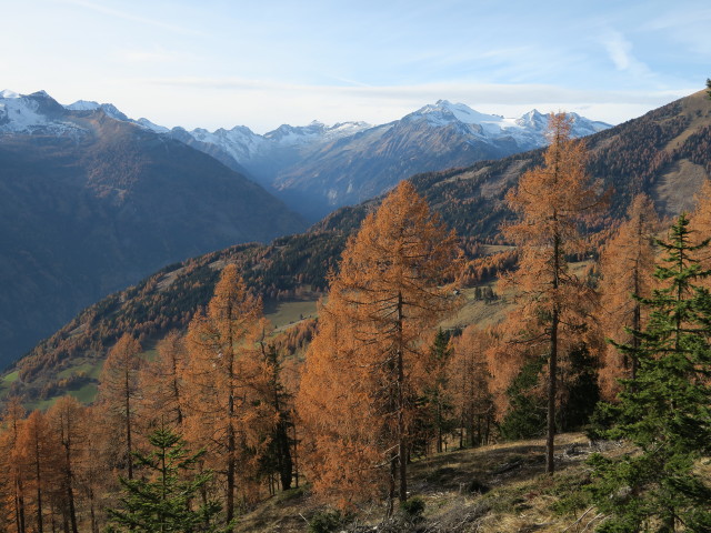 von Weg 558 Richtung Westen
