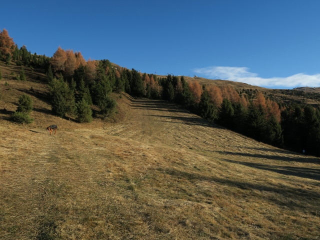 Weg 7 zwischen Finktalheim und Kreuztal