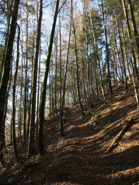 zwischen Niederbreitenbach und B&auml;renbadhaus