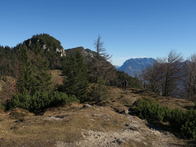 vom Feuerk&ouml;pfl Richtung Nordosten