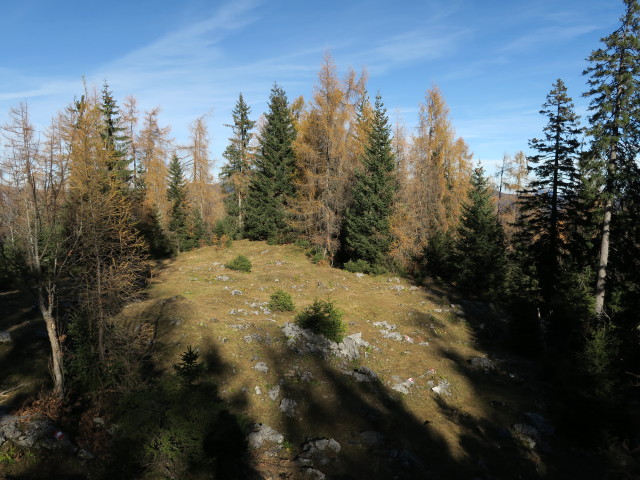 Adlerweg zwischen H&ouml;hlensteinhaus und K&ouml;glh&ouml;rndl