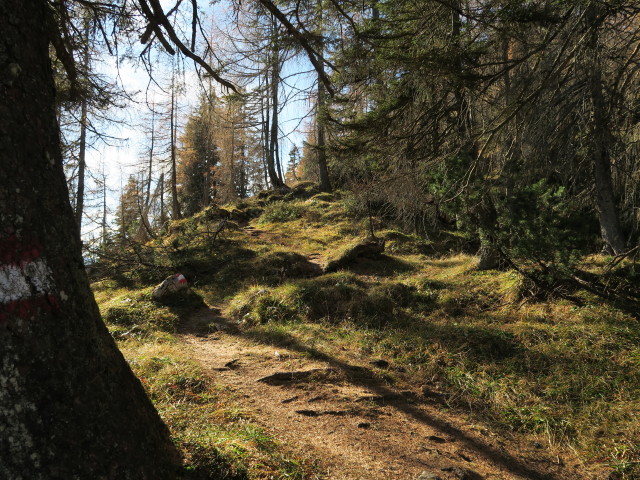 Adlerweg zwischen H&ouml;hlensteinhaus und K&ouml;glh&ouml;rndl
