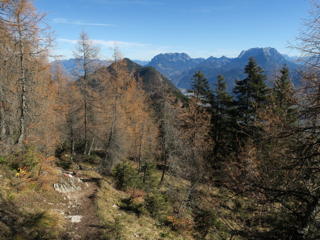 Adlerweg zwischen H&ouml;hlensteinhaus und K&ouml;glh&ouml;rndl