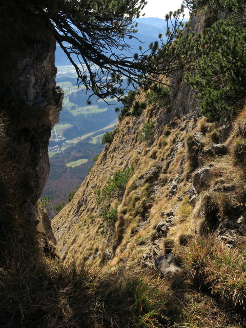 neben dem Adlerweg zwischen K&ouml;glh&ouml;rndl und Hundsalmjoch