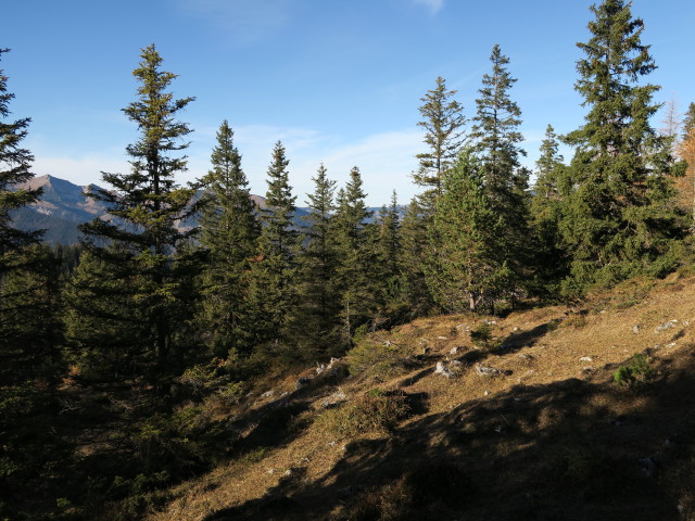 zwischen Hundsalmjoch und Hundsalm