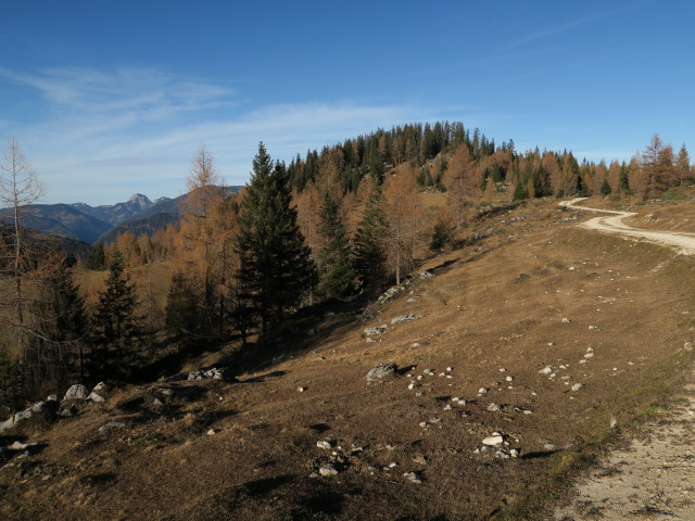 Weg 7 zwischen Hundsalm und K&ouml;glalm