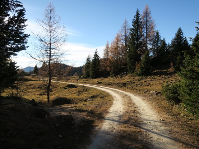 Weg 7 zwischen Hundsalm und K&ouml;glalm