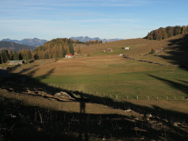 K&ouml;glalm