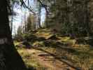 Adlerweg zwischen Höhlensteinhaus und Köglhörndl