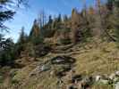 Adlerweg zwischen Höhlensteinhaus und Köglhörndl