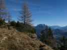 Adlerweg zwischen Höhlensteinhaus und Köglhörndl