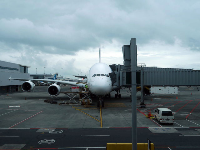 Flug EK 406 am Auckland International Airport (15. Nov.)