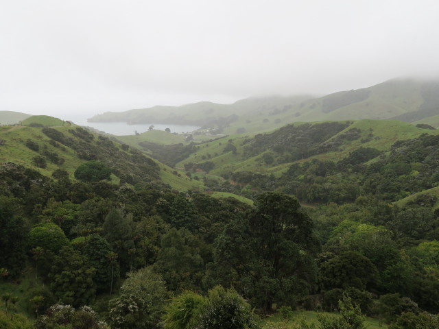 Kirita Bay von der Manaia Road aus (16. Nov.)