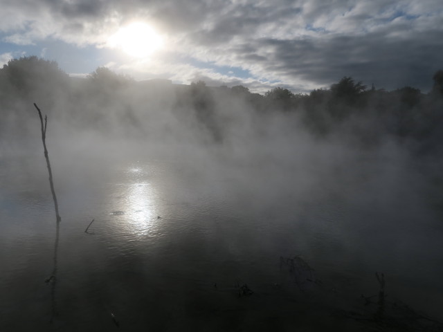 Kuirau Park in Rotorua (18. Nov.)