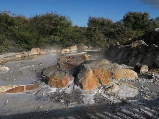 Kuirau Park in Rotorua (18. Nov.)