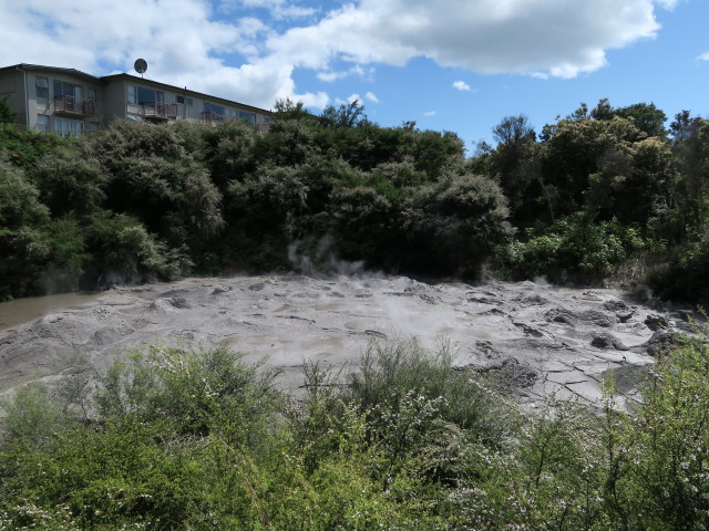 Nga Mokai a Koko Mudpot in Te Puia (18. Nov.)