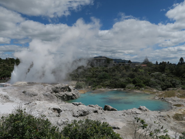 Geyser Flat und Blue Pool in Te Puia (18. Nov.)