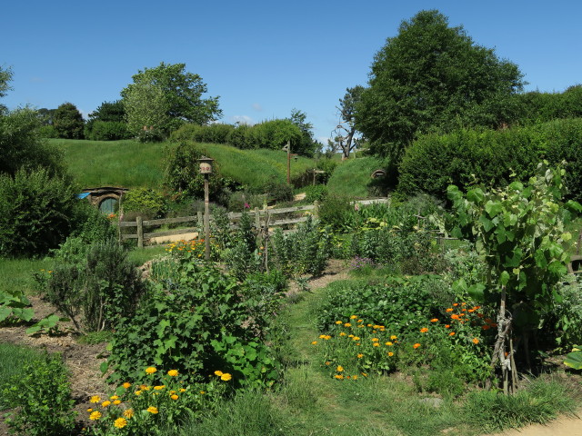 Hobbiton Movie Set (18. Nov.)