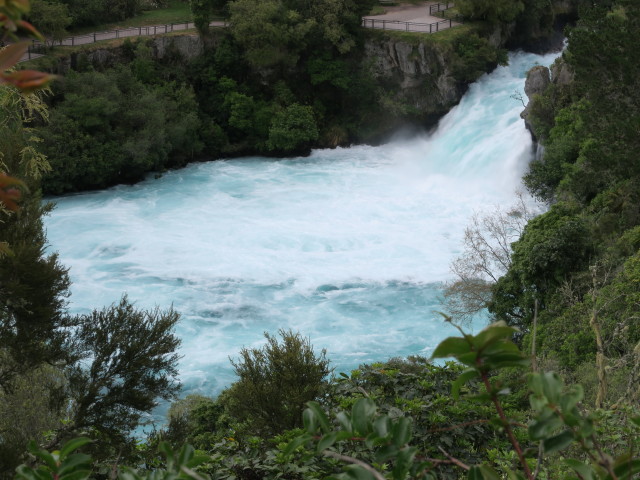Huka Falls (19. Nov.)
