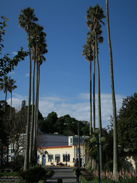 Clive Square Gardens in Napier (19. Nov.)