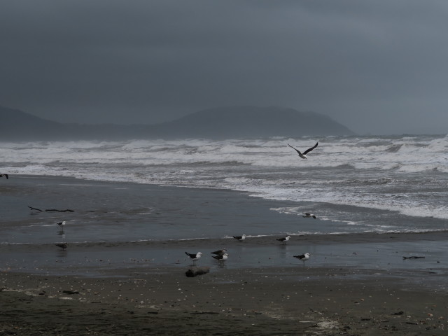Tasmanische See vom Queen Elizabeth Park aus (20. Nov.)