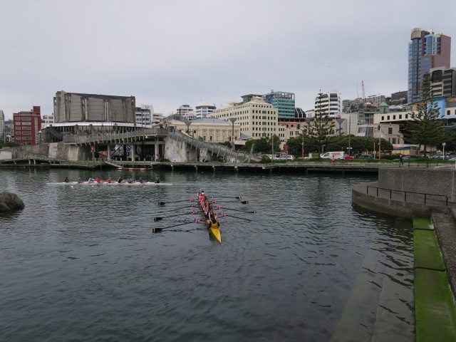 City to Sea Bridge in Wellington (21. Nov.)