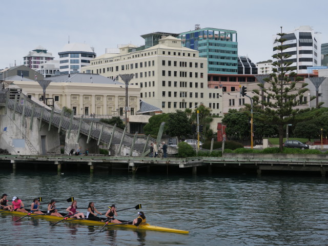 City to Sea Bridge in Wellington (21. Nov.)