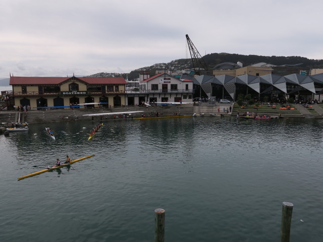 The Boatshed in Wellington (21. Nov.)