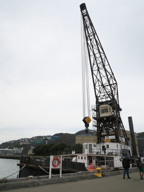 Hikitia in Wellington (21. Nov.)