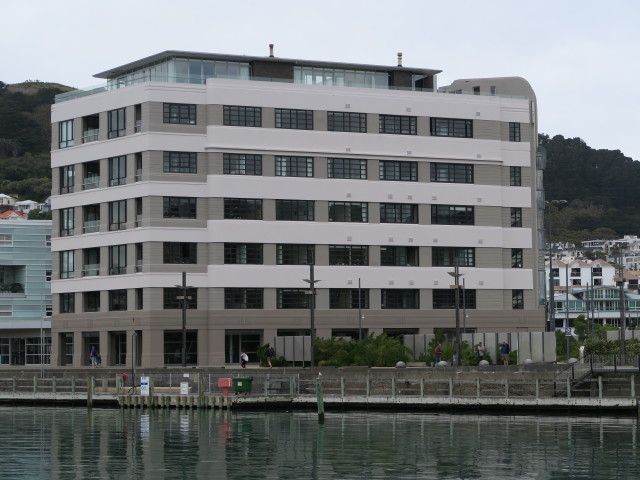 Waitangi Park in Wellington (21. Nov.)