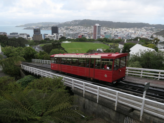 Wellington Cable Car zwischen den Stationen Salamanca Road und Kelburn Terminal (21. Nov.)