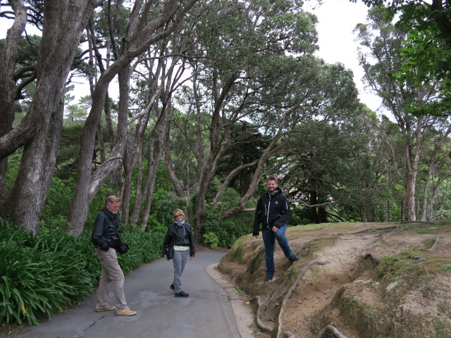 Papa, Mama und Markus in den Wellington Botanic Gardens (21. Nov.)