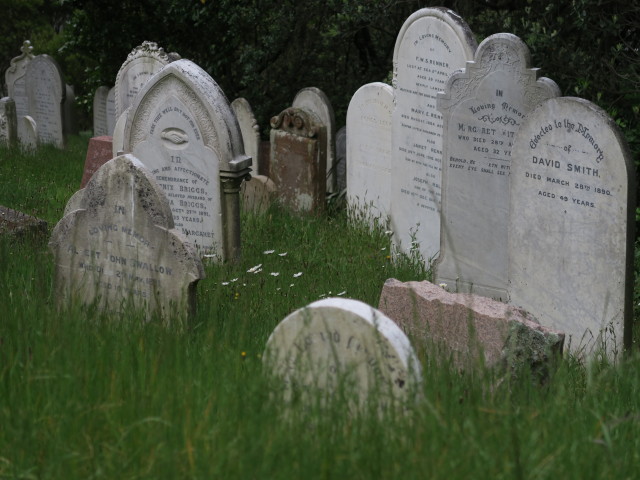 Bolton Street Cemetery in Wellington (21. Nov.)